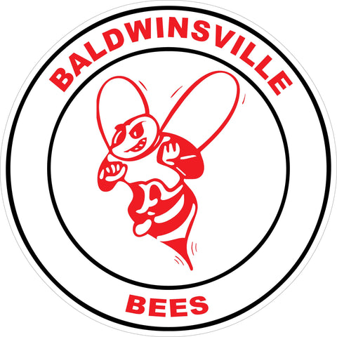 "Baldwinsville Bees" Circle Decal (Line Art)