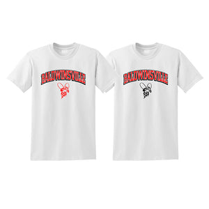products/Baldwinsville_Two-Color_And_Bee_Short_Sleeve_4186c7d5-967f-467e-886a-d36bf7d36ef6.jpg